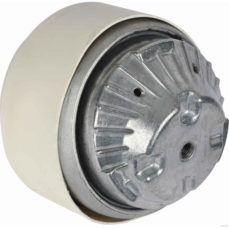 Support moteur HERTH+BUSS JAKOPARTS J1790819 - Visuel 1