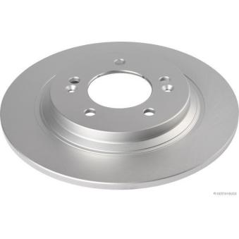 Jeu de 2 disques de frein arrière HERTH+BUSS JAKOPARTS J3310320 pour RENAULT R21 1.5 - 110cv