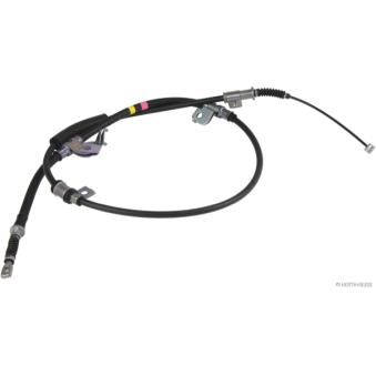 Tirette à câble, frein de stationnement HERTH+BUSS JAKOPARTS J3930534 pour KIA CEED 2.5 CRDi - 110cv