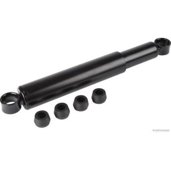 Jeu de 2 amortisseurs arrière HERTH+BUSS JAKOPARTS [J4321002]