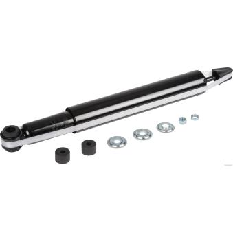 Jeu de 2 amortisseurs arrière HERTH+BUSS JAKOPARTS [J4322018]