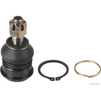 Rotule de suspension HERTH+BUSS JAKOPARTS OEM 401604F100 Rotule de suspension HERTH+BUSS JAKOPARTS OEM 401604F100