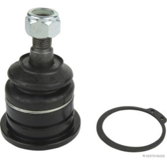 Rotule de suspension HERTH+BUSS JAKOPARTS J4981003 pour MINI MINI 2.5 D - 83cv