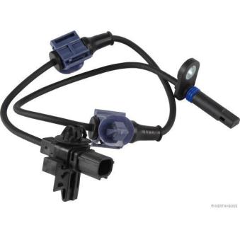 Capteur, vitesse de roue HERTH+BUSS JAKOPARTS [J5934032]