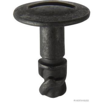 Vis HERTH+BUSS ELPARTS 50267057 pour RENAULT CAPTUR 1.9 TDI - 110cv Vis HERTH+BUSS ELPARTS 50267057 pour RENAULT CAPTUR 1.9 TDI - 110cv