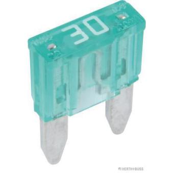 Fusible HERTH+BUSS ELPARTS [50295581066]