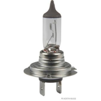 Ampoule, projecteur longue portée HERTH+BUSS ELPARTS 89901295 pour MINI MINI One D - 90cv
