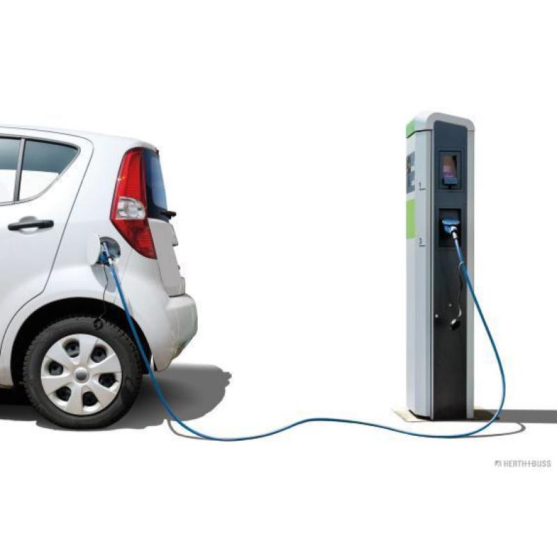 Câble de recharge, véhicule électrique HERTH+BUSS ELPARTS 95960033 - Visuel 1