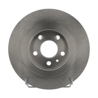 Jeu de 2 disques de frein arrière FERODO DDF1181