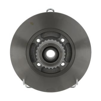 Jeu de 2 disques de frein arrière FERODO OEM 7701208054