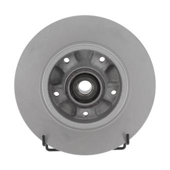 Jeu de 2 disques de frein arrière FERODO OEM 432009292R