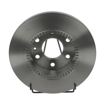 Jeu de 2 disques de frein arrière FERODO OEM 0007186309 Jeu de 2 disques de frein arrière FERODO OEM 0007186309