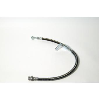 Flexible de frein FERODO OEM 5873117000