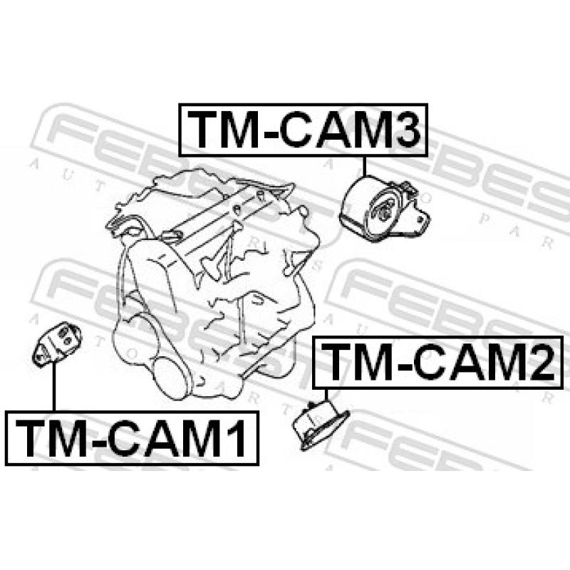 Support moteur avant droit FEBEST TM-CAM1 - Visuel 2