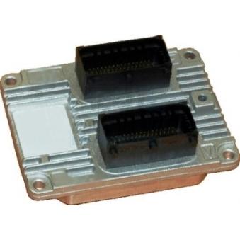 Appareil de commande, gestion moteur MEAT & DORIA 70064 pour VOLKSWAGEN GOLF 1.4 - 77cv