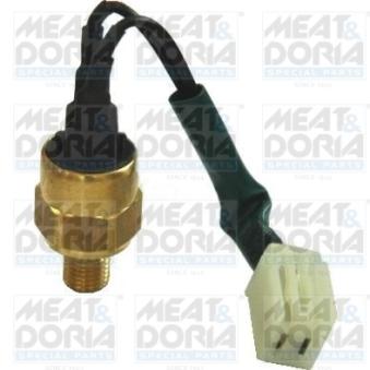 Contact thermique, voyant avertisseur de l'agent réfrigérant MEAT & DORIA OEM 46409675