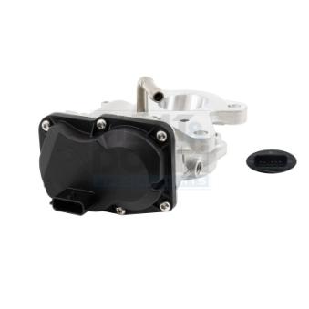Vanne EGR MEAT & DORIA OEM A6991420900