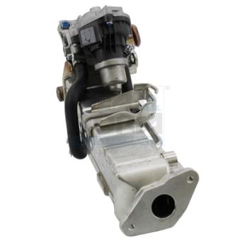 Module-EGR MEAT & DORIA [88801R]