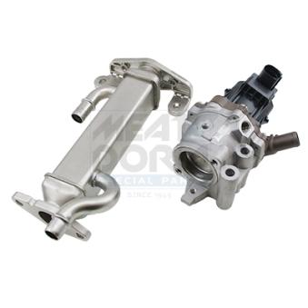 Module-EGR MEAT & DORIA OEM 504388655