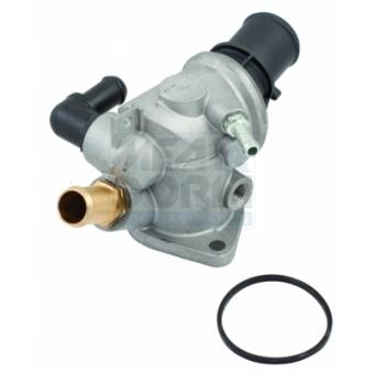 Thermostat d'eau MEAT & DORIA OEM 60676066 Thermostat d'eau MEAT & DORIA OEM 60676066