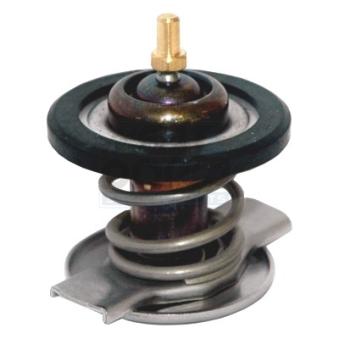 Thermostat d'eau MEAT & DORIA OEM 6422002015