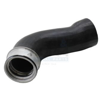 Gaine de suralimentation MEAT & DORIA 961245 pour AUDI A3 2.0 TDI - 163cv