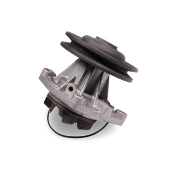 Pompe à eau HEPU OEM 195590702400