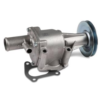 Pompe à eau HEPU [P088]