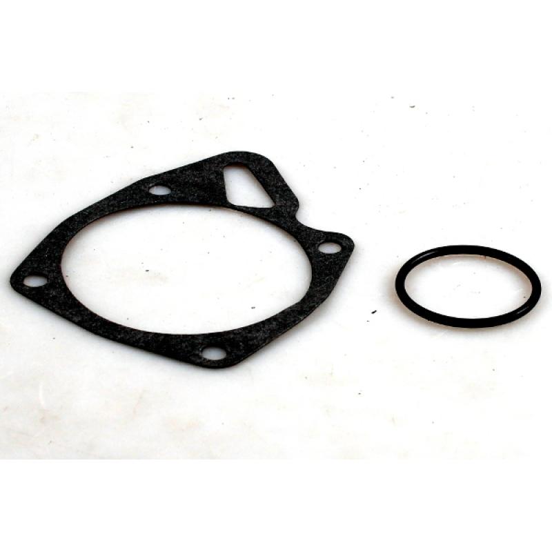 Pompe à eau HEPU P090 - Visuel 2