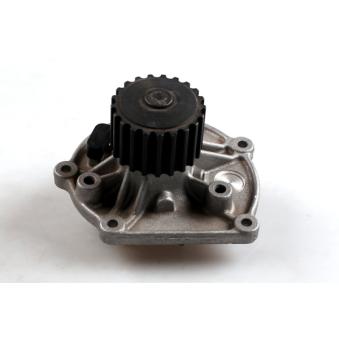 Pompe à eau HEPU [P1025]