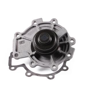 Pompe à eau HEPU OEM 7269023