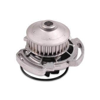 Pompe à eau HEPU OEM 030121005LV Pompe à eau HEPU OEM 030121005LV