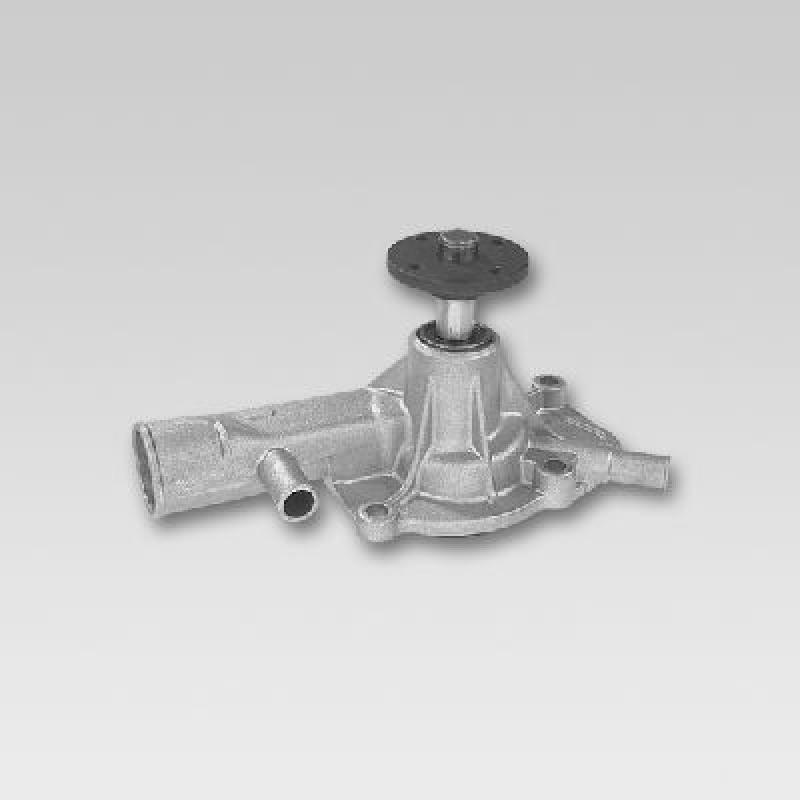 Pompe à eau HEPU P770 - Visuel 1