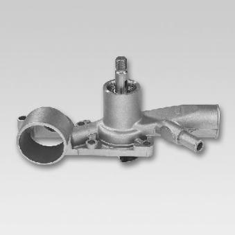 Pompe à eau HEPU P850
