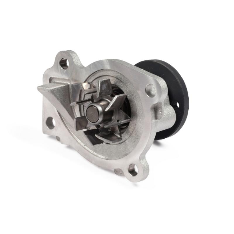 Pompe à eau HEPU P967 - Visuel 1