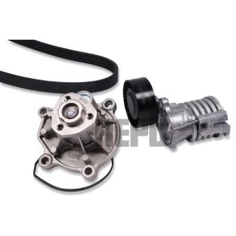 Pompe à eau+Jeu de courroie trapézoïdale à nervures HEPU OEM 03D121005