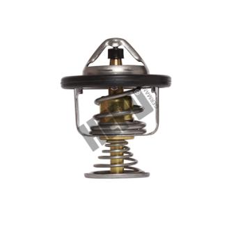 Thermostat, liqiuide de refroidissement HEPU OEM 9004833088