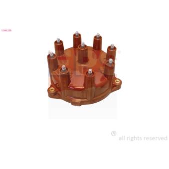 Tête d'allumeur EPS [1.306.239]