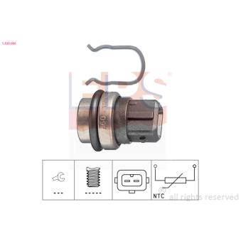 Sonde de température, liquide de refroidissement EPS OEM 251919501D