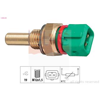 Sonde de température, liquide de refroidissement EPS OEM 133875