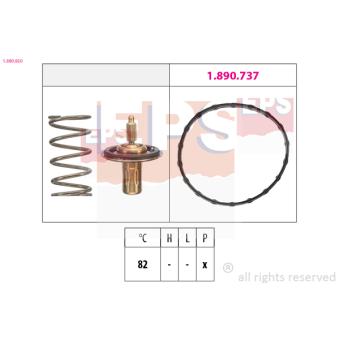 Thermostat d'eau EPS [1.880.950]
