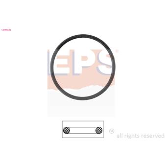 Joint d'étanchéité, thermostat EPS OEM 98465113 Joint d'étanchéité, thermostat EPS OEM 98465113