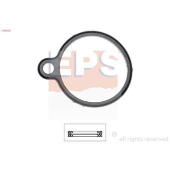 Joint d'étanchéité, thermostat EPS [1.890.651]
