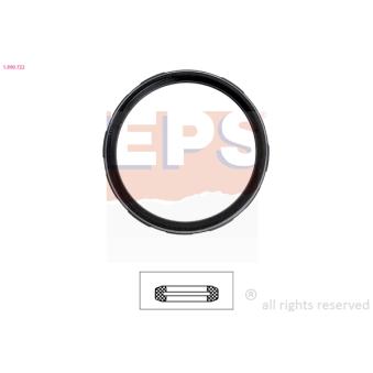 Joint d'étanchéité, thermostat EPS 1.890.722 pour NISSAN JUKE 1.6 DIG-T - 190cv