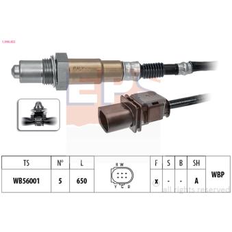 Sonde lambda EPS [1.998.455]