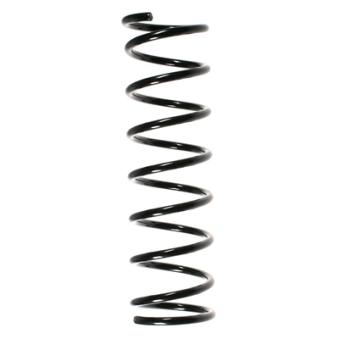 Ressort de suspension SPIDAN 48259