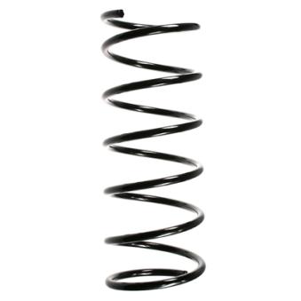 Ressort de suspension SPIDAN OEM 500236