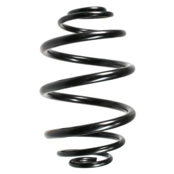 Ressort de suspension SPIDAN OEM 90007059