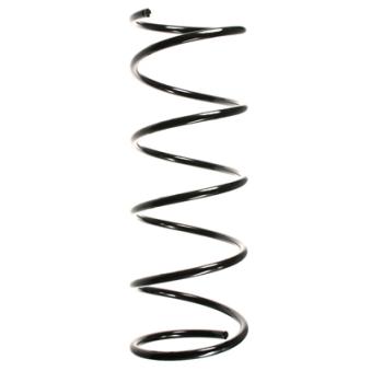 Ressort de suspension SPIDAN OEM 5002K4
