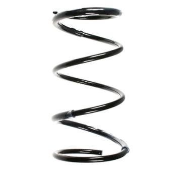 Ressort de suspension SPIDAN OEM 4813142041